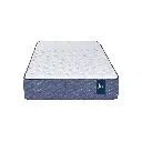 2.webp