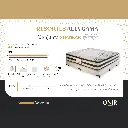6.webp